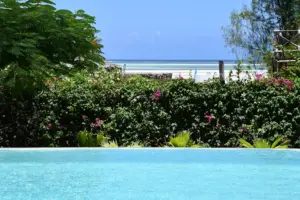 Maji Villa - Private pool