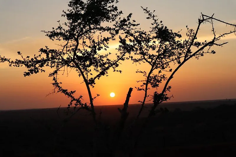 MV-Marafa – Hell’s Kitchen copia