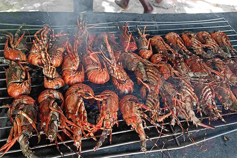 MV-Safari-blu-lobster