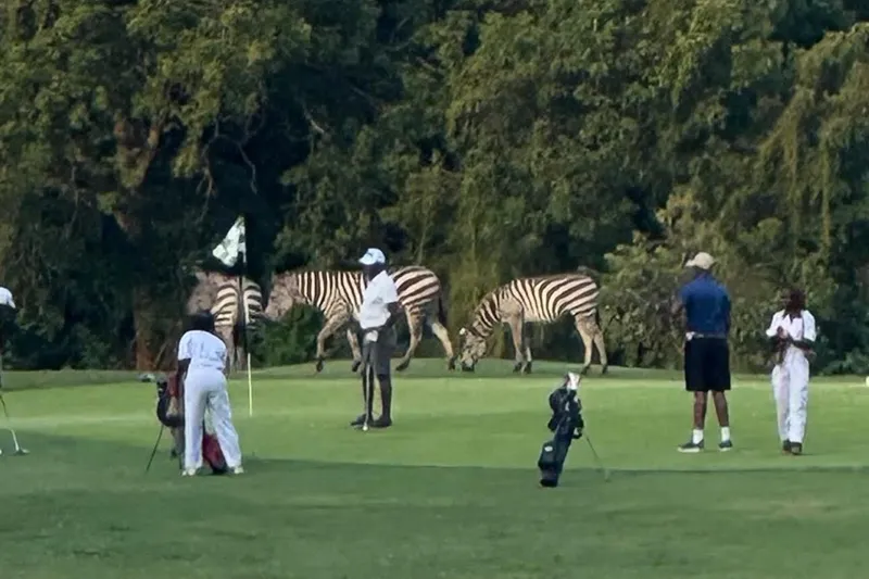 MV-vipingo Ridge Golf copia Vipingo Ridge Golf